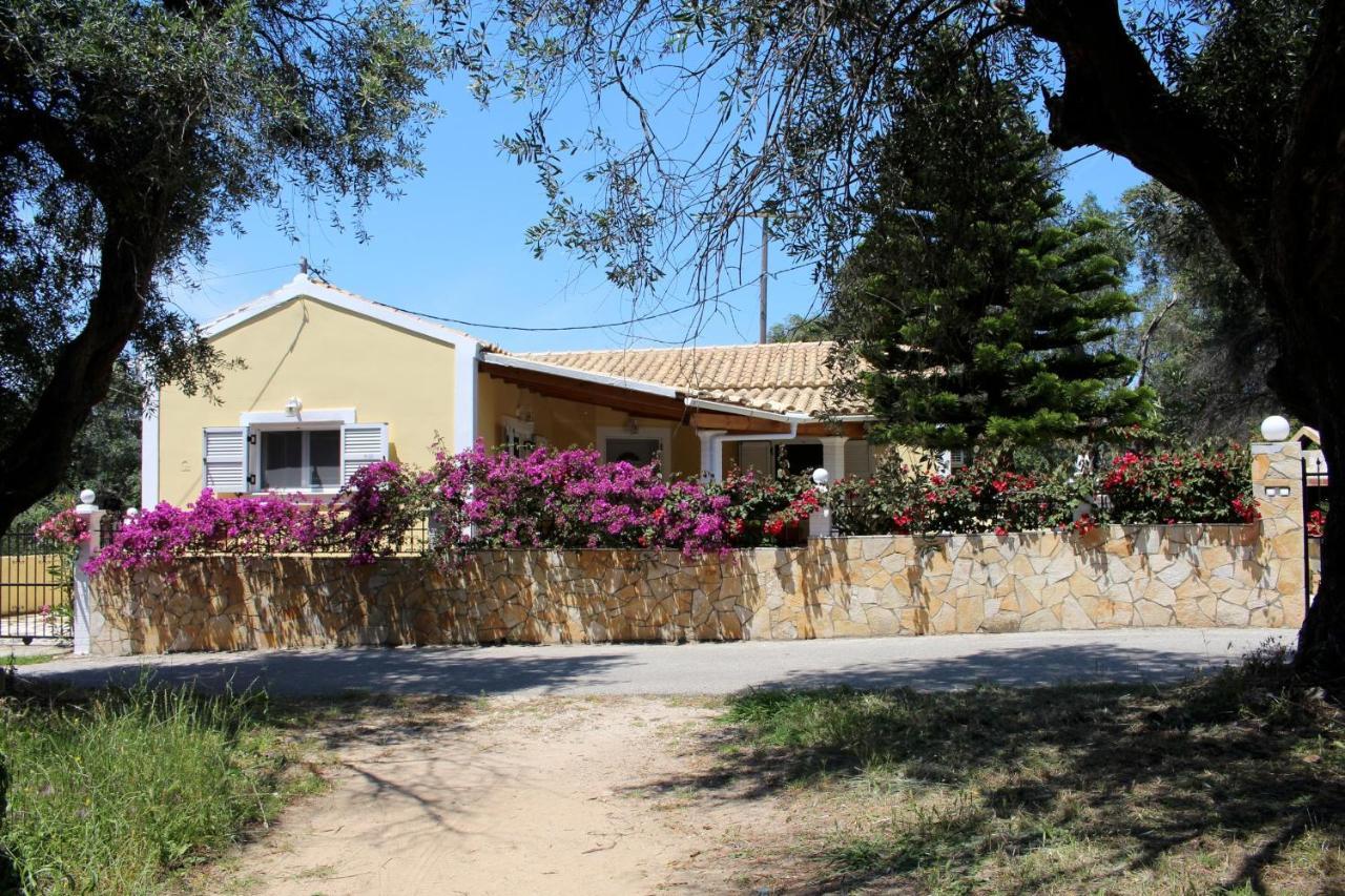 Jasmin Skidi Agios Matthaios (Corfu)
